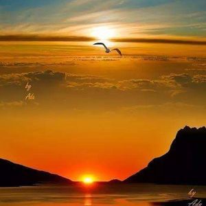 Meet your Posher, Nelson